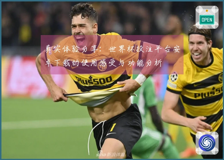 真实体验分享：世界杯投注平台安卓下载的使用感受与功能分析