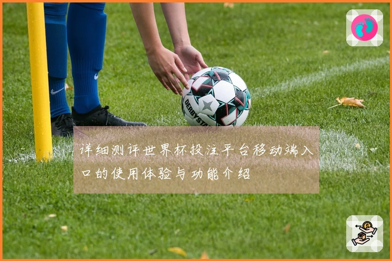详细测评世界杯投注平台移动端入口的使用体验与功能介绍