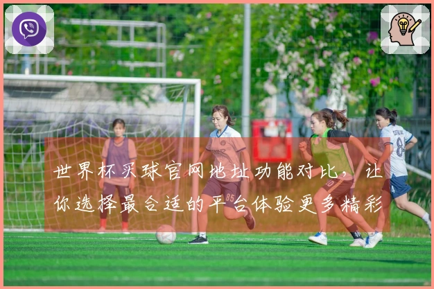 世界杯买球官网地址功能对比，让你选择最合适的平台体验更多精彩赛事