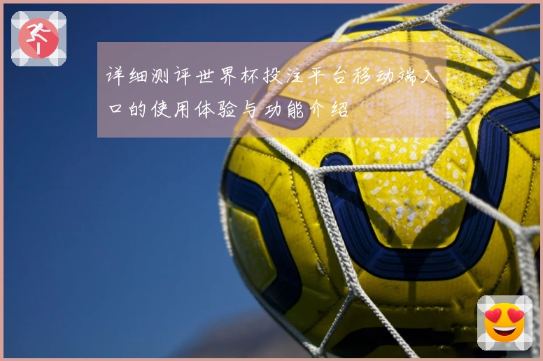 详细测评世界杯投注平台移动端入口的使用体验与功能介绍