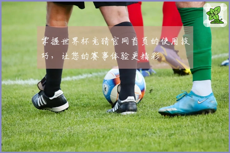 掌握世界杯竞猜官网首页的使用技巧，让您的赛事体验更精彩
