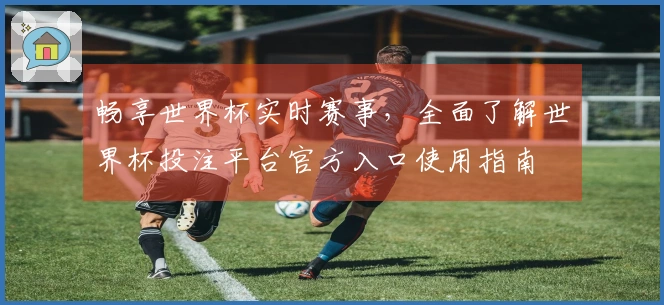 畅享世界杯实时赛事，全面了解世界杯投注平台官方入口使用指南