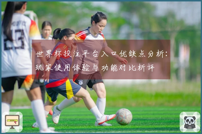 世界杯投注平台入口优缺点分析：玩家使用体验与功能对比析评