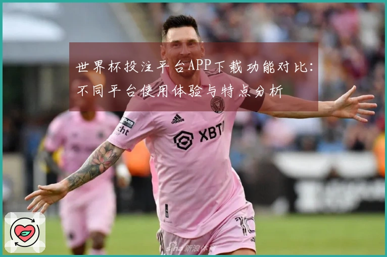 世界杯投注平台APP下载功能对比：不同平台使用体验与特点分析