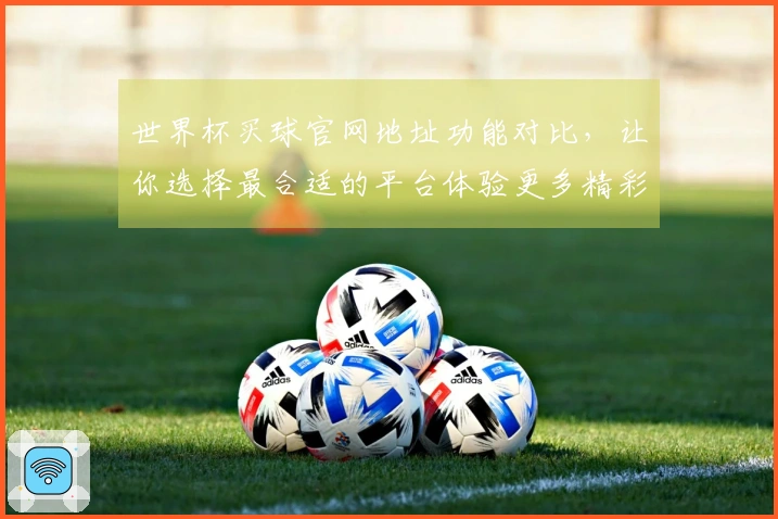 世界杯买球官网地址功能对比，让你选择最合适的平台体验更多精彩赛事